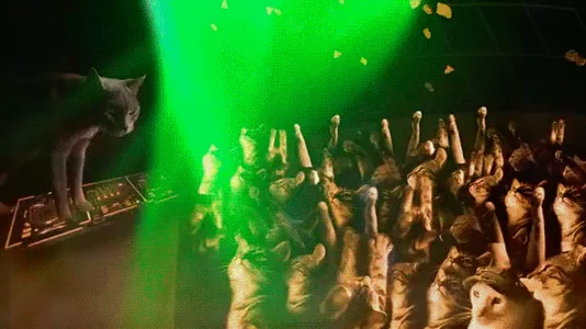 Вечеринка Party Веселье