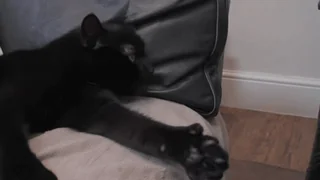 Класс Отлично Палец Вверх