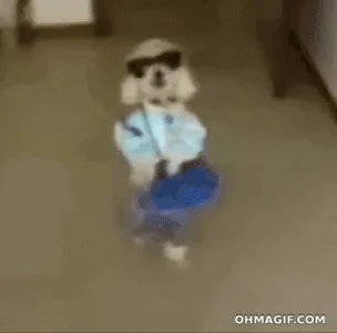 Like A Boss Dog