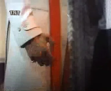 Ужас Ужастик Индия