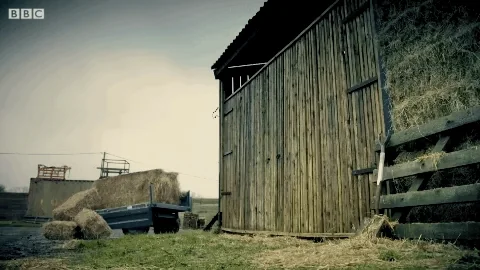Трактор