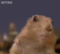 Мемы Монтаж Dramatic Chipmunk
