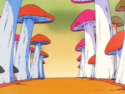 shrooms