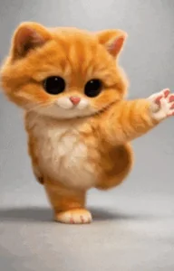 Dance Cat