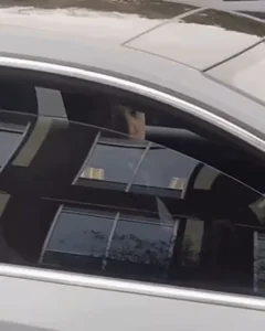 Official Habanero Audi S5 Uber