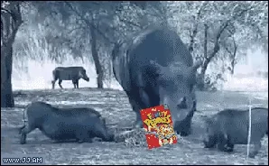 Атака Монтаж Животные