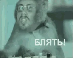 Обезьяна Русский Бешеный