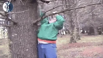 Смешные Дети Прикол С Детьми Фейл