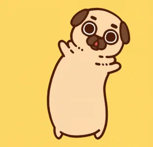 Puglie Pug