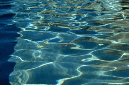 Water Backwash