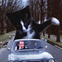 Коты Смайлик Смех
