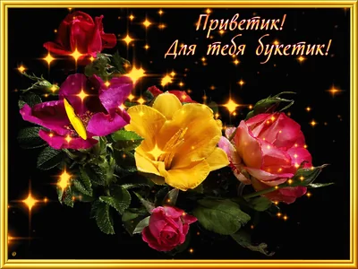 Привет