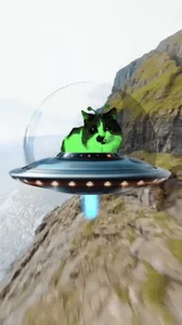 Cat Ufo