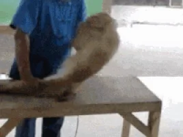 Обезьяна Моно Упражнение