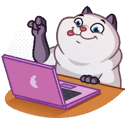 Кот Работа Компьютер