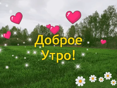 Доброе Утро
