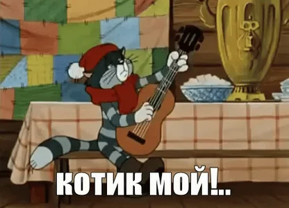 котик мой матроскин гитара простоквашино