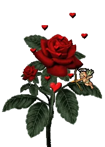 Valentines Day Love