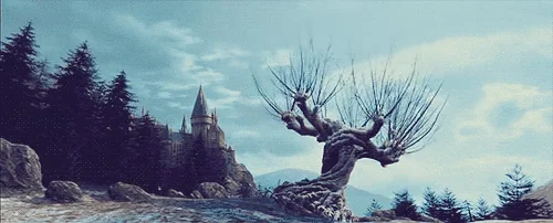 Гарри Поттер Дерево