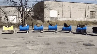 Поезд