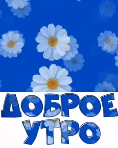 Доброе Утро