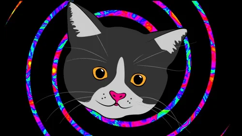 Кот Эпилепсия Психо