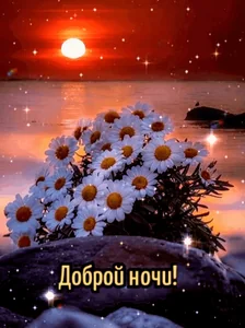 Спокойной Ночи Спасть Засыпаю