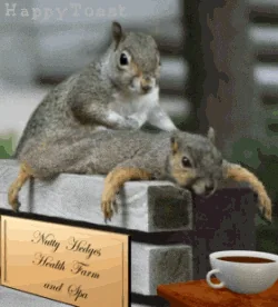 Tea Relaxing