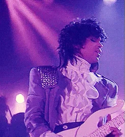 purple rain prince