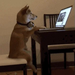 Youtube Reaction