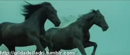Лошадь Конь Скачет