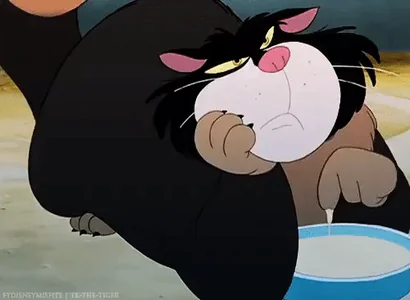 Кот Молоко Ждет