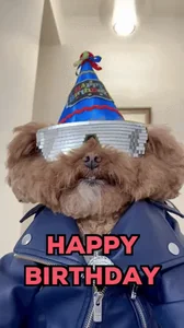 Happy Birthday Party