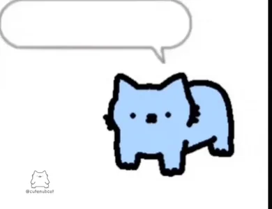 Oi Oi Cat