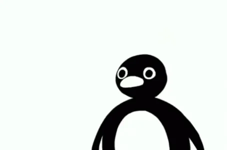 Nok Penguin Nook