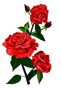 The Gift Love