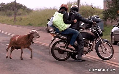 Мотоцикл