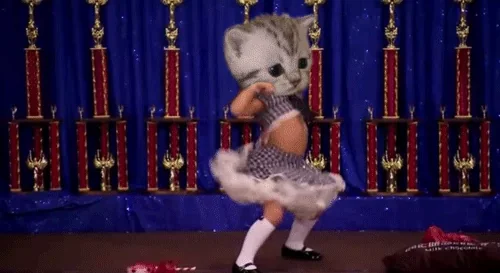 Монтаж Кошка Танец