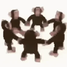Monkey Ape