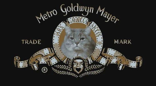 Котенок Сумасшедший Заставка